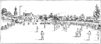 Illustration: County Cricket (Mitcham)